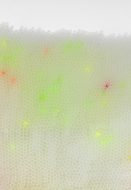 Colourfull shoreline (2), Detail, 2019 Stahldraht, Trinkhalme, LED farbig mit USB, 33 x 52 x22 cm