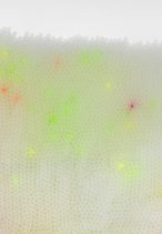 Colourfull shoreline (2), Detail, 2019 Stahldraht, Trinkhalme, LED farbig mit USB, 33 x 52 x22 cm