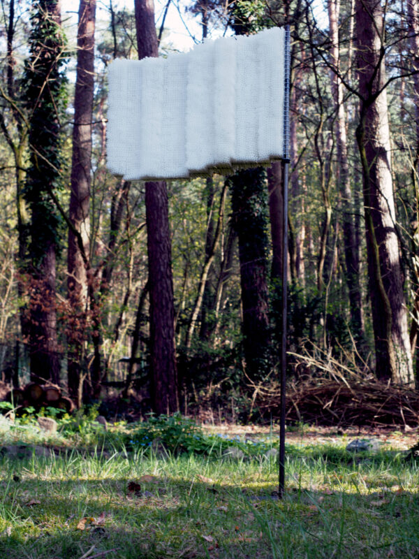 F c best OLYMPUS DIGITAL CAMERA,Steelmesh, straws, 64 x 46 x 16 cm, steel, 160 x 25 x 25 cm
Together. 160 x 80 x 25 cm
